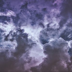 Meet your Posher, Trevor